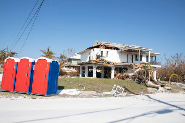 Trusted Ramsey, MN Tree Removal Experts